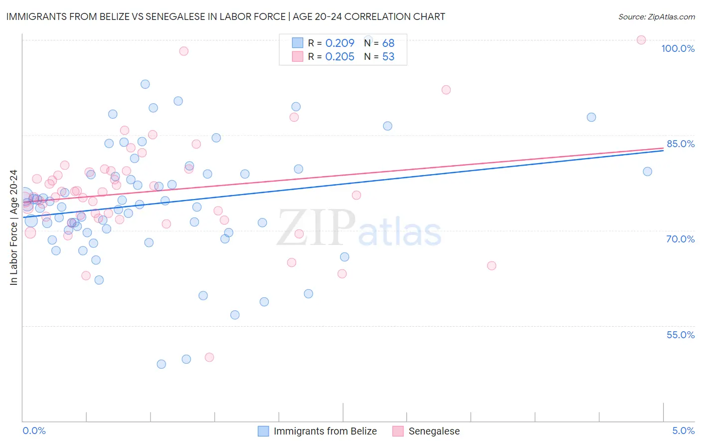 Immigrants from Belize vs Senegalese In Labor Force | Age 20-24