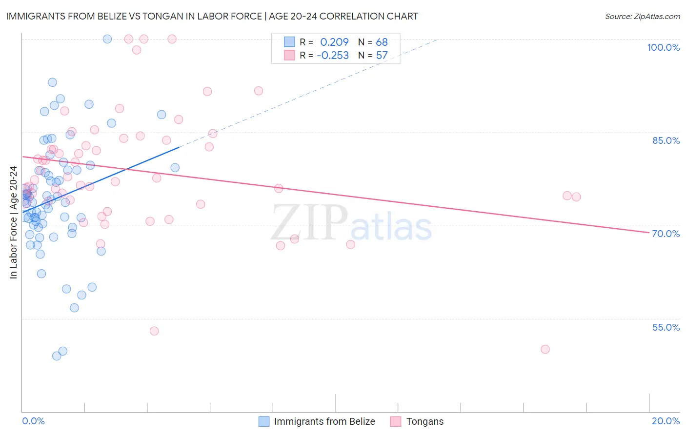 Immigrants from Belize vs Tongan In Labor Force | Age 20-24