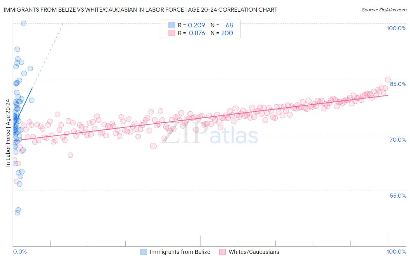 Immigrants from Belize vs White/Caucasian In Labor Force | Age 20-24