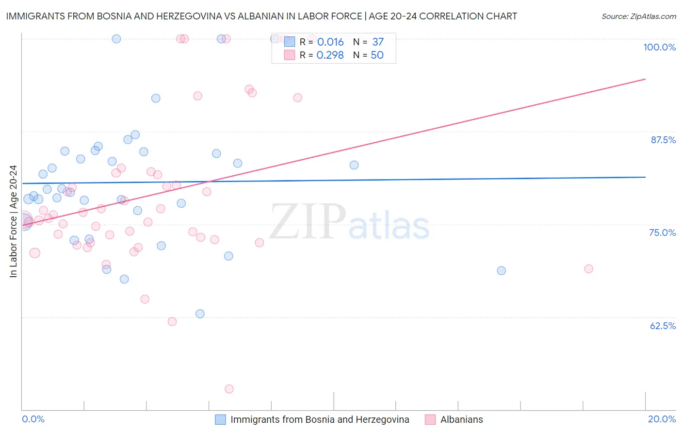 Immigrants from Bosnia and Herzegovina vs Albanian In Labor Force | Age 20-24
