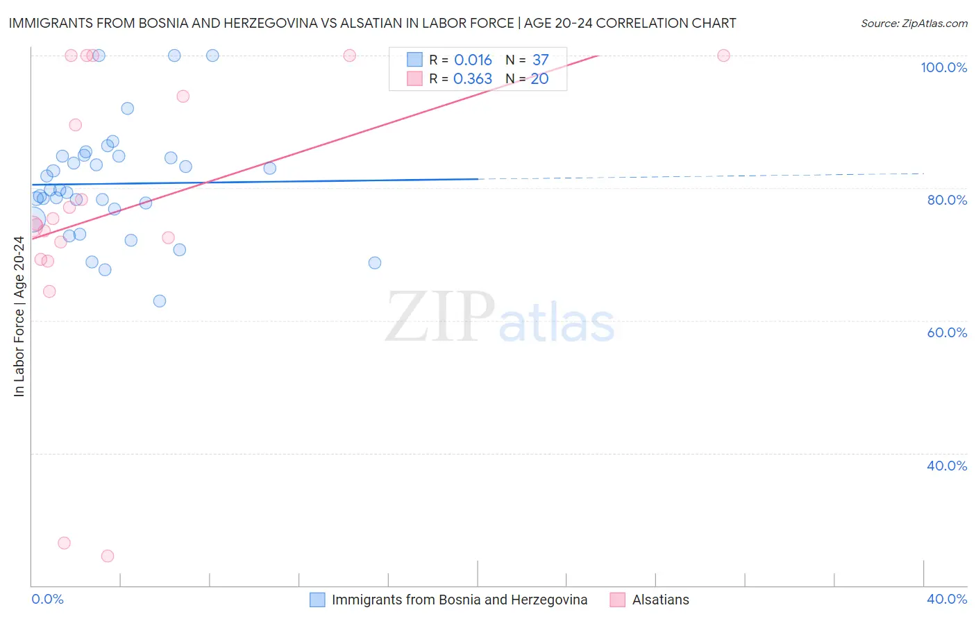 Immigrants from Bosnia and Herzegovina vs Alsatian In Labor Force | Age 20-24