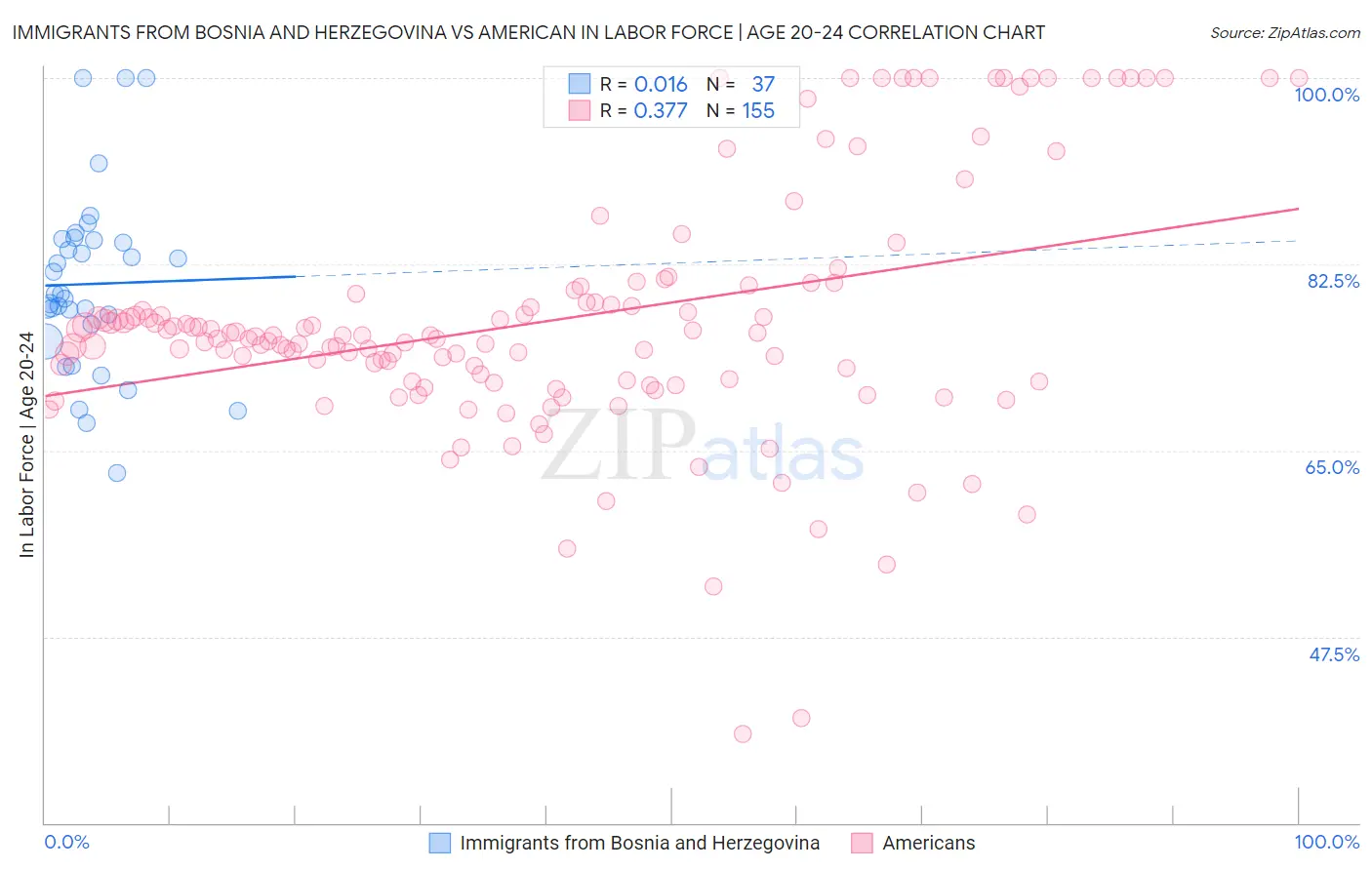 Immigrants from Bosnia and Herzegovina vs American In Labor Force | Age 20-24