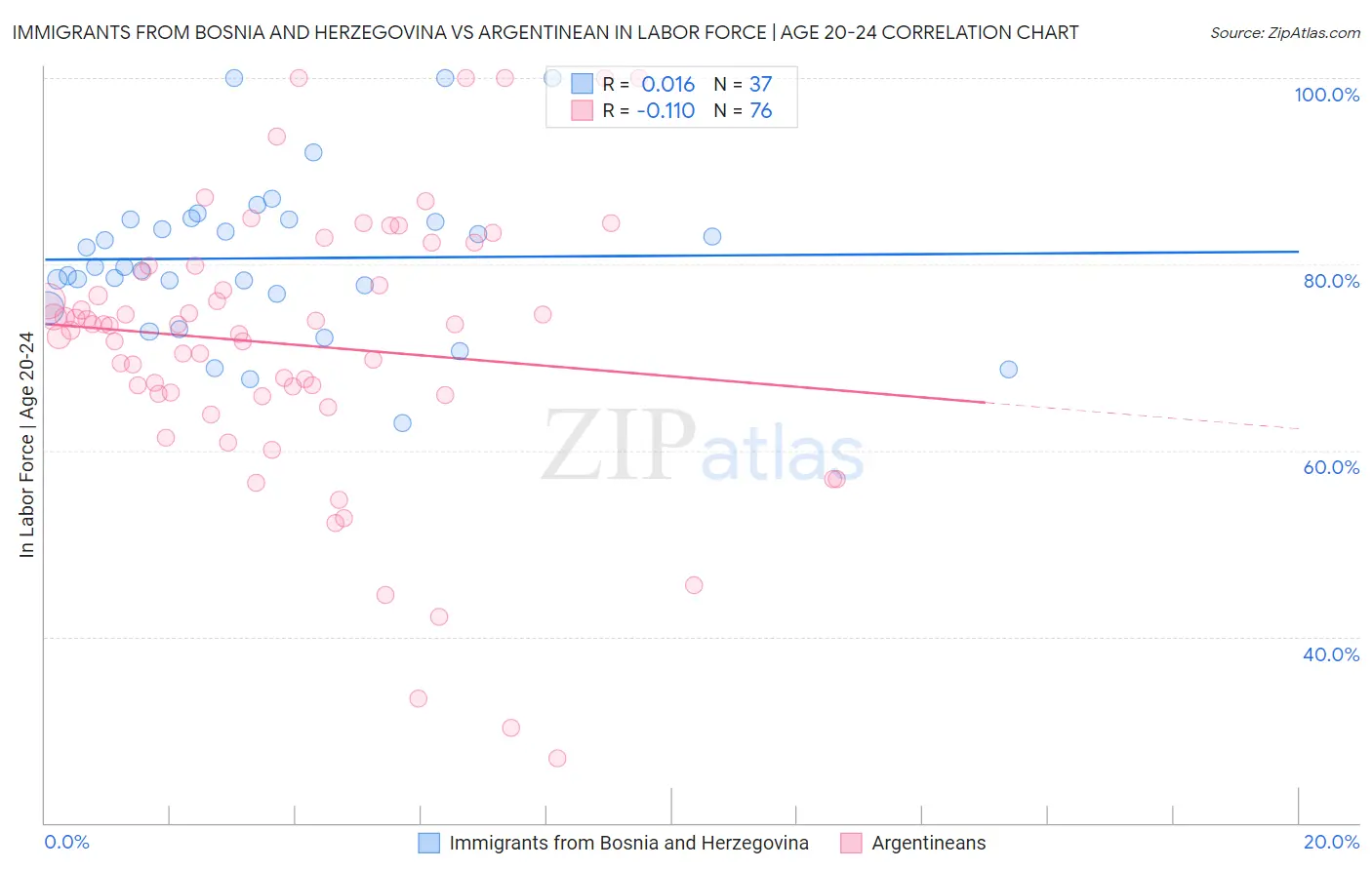 Immigrants from Bosnia and Herzegovina vs Argentinean In Labor Force | Age 20-24