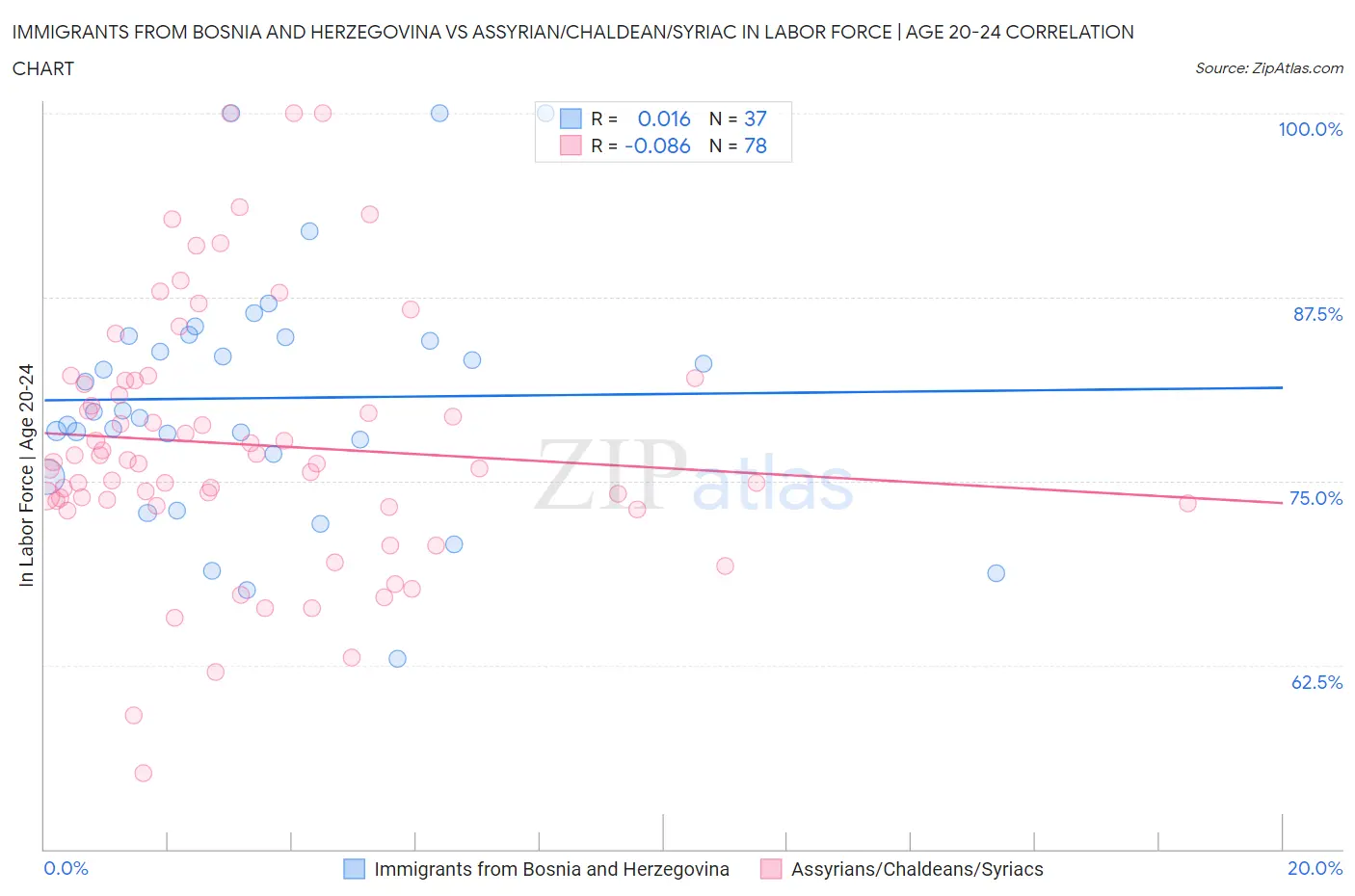 Immigrants from Bosnia and Herzegovina vs Assyrian/Chaldean/Syriac In Labor Force | Age 20-24