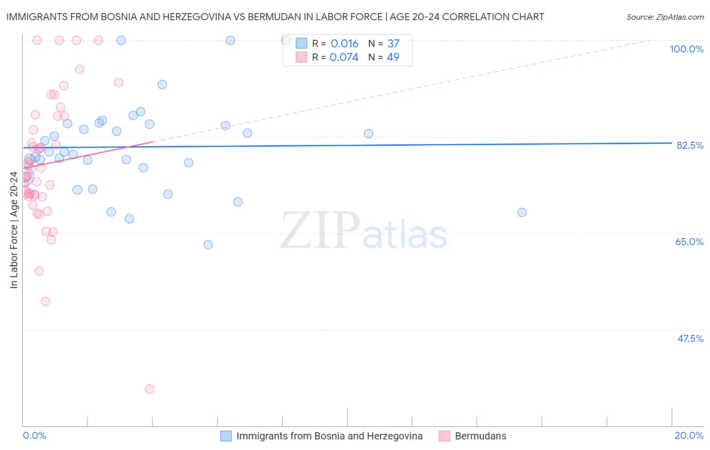 Immigrants from Bosnia and Herzegovina vs Bermudan In Labor Force | Age 20-24