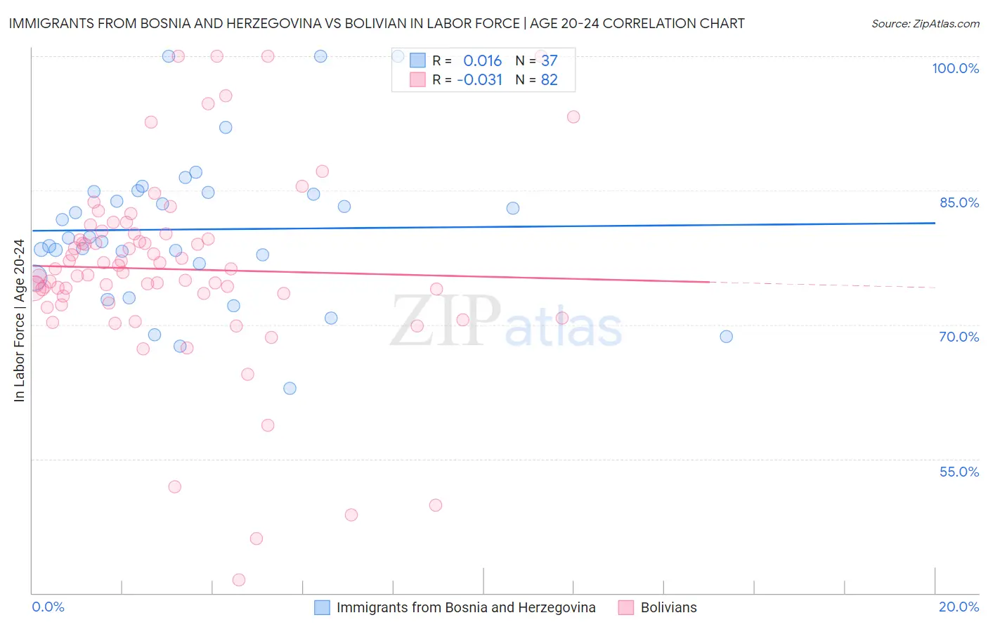 Immigrants from Bosnia and Herzegovina vs Bolivian In Labor Force | Age 20-24