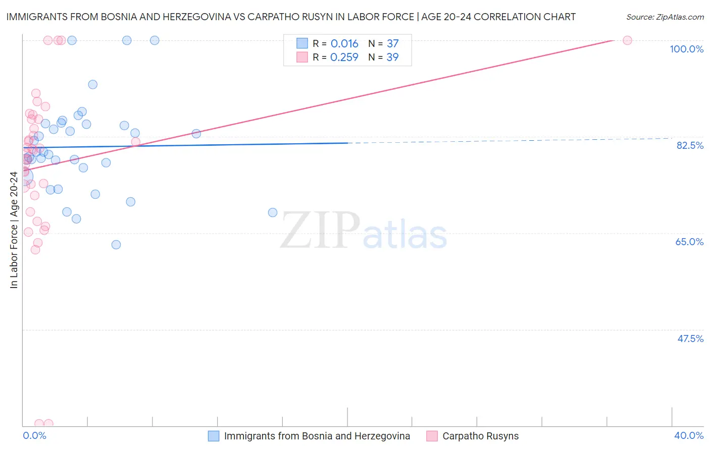 Immigrants from Bosnia and Herzegovina vs Carpatho Rusyn In Labor Force | Age 20-24