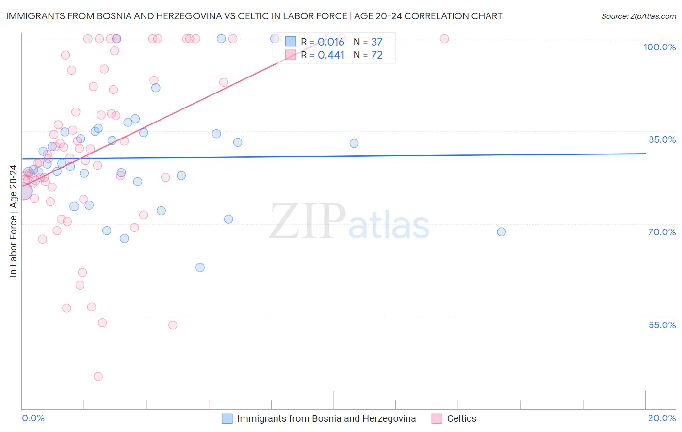 Immigrants from Bosnia and Herzegovina vs Celtic In Labor Force | Age 20-24