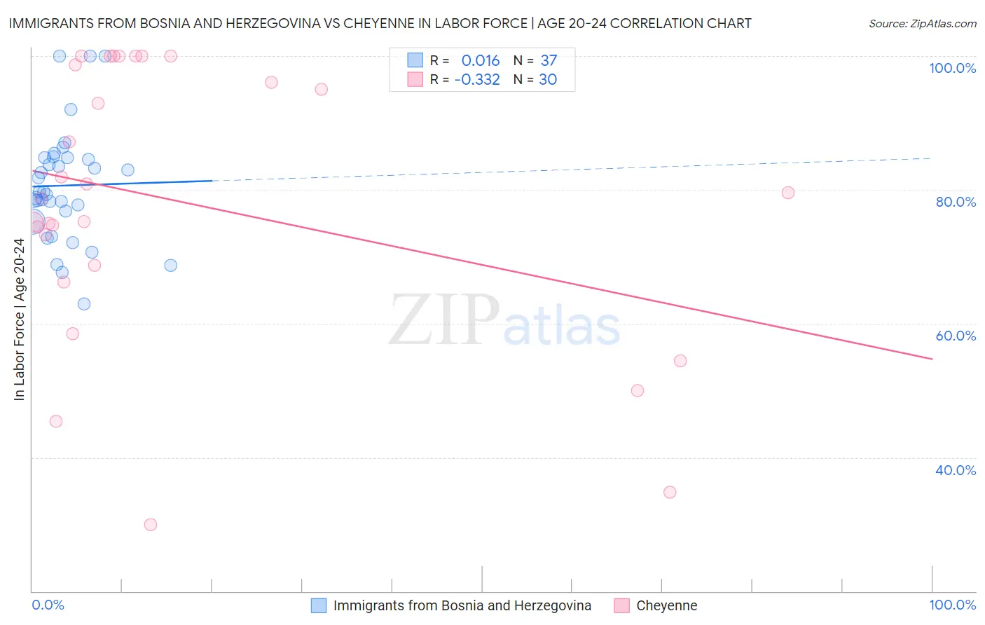 Immigrants from Bosnia and Herzegovina vs Cheyenne In Labor Force | Age 20-24