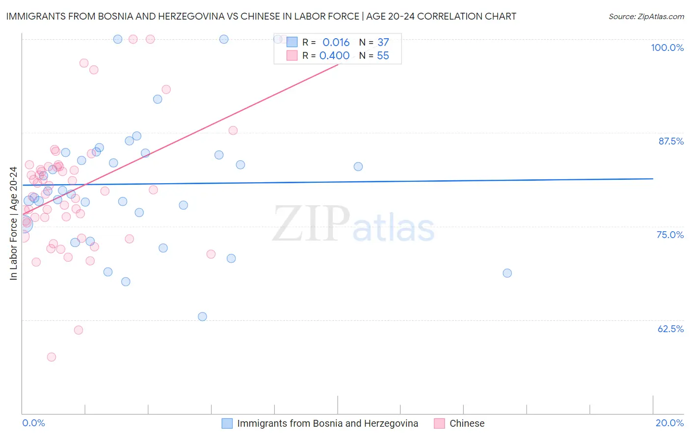 Immigrants from Bosnia and Herzegovina vs Chinese In Labor Force | Age 20-24