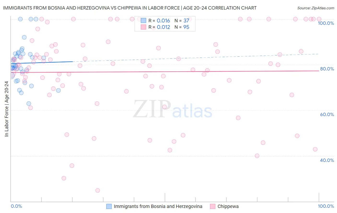 Immigrants from Bosnia and Herzegovina vs Chippewa In Labor Force | Age 20-24