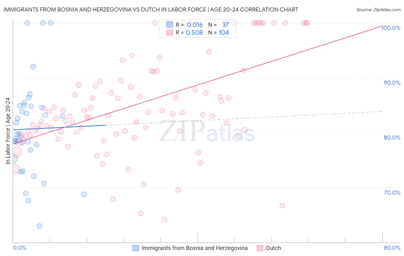 Immigrants from Bosnia and Herzegovina vs Dutch In Labor Force | Age 20-24