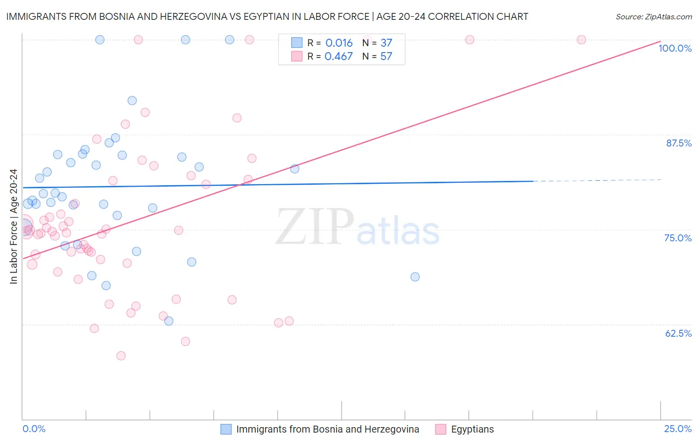 Immigrants from Bosnia and Herzegovina vs Egyptian In Labor Force | Age 20-24