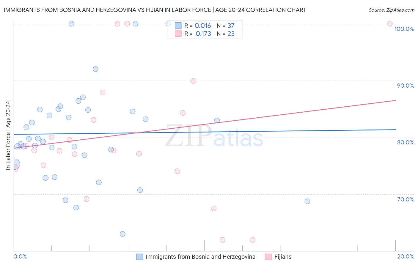 Immigrants from Bosnia and Herzegovina vs Fijian In Labor Force | Age 20-24