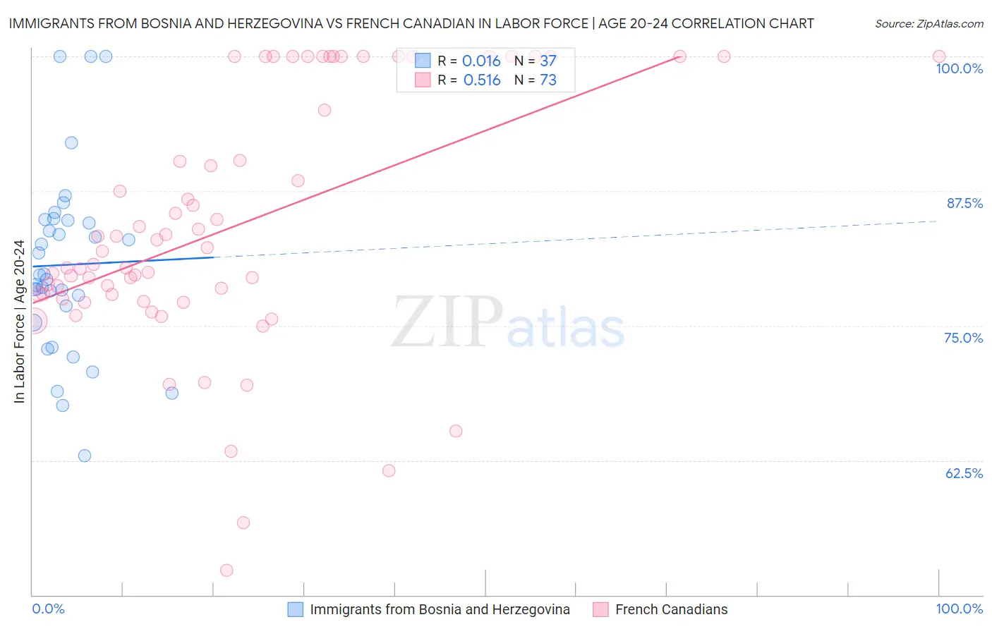 Immigrants from Bosnia and Herzegovina vs French Canadian In Labor Force | Age 20-24