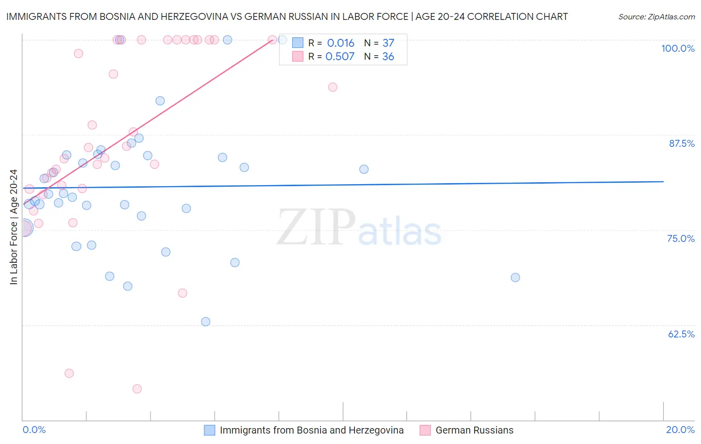 Immigrants from Bosnia and Herzegovina vs German Russian In Labor Force | Age 20-24