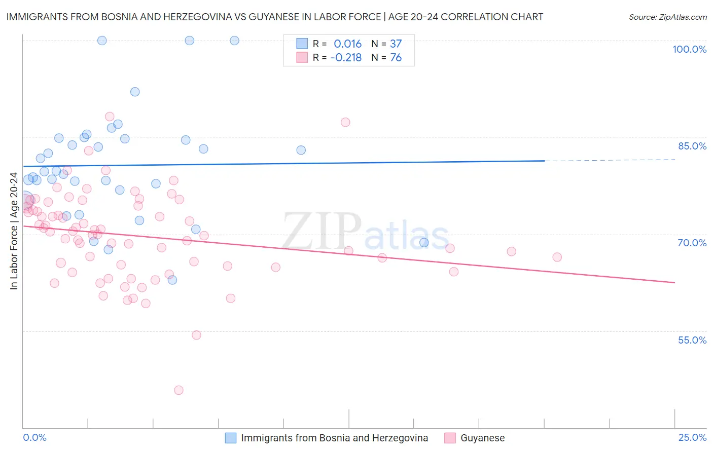 Immigrants from Bosnia and Herzegovina vs Guyanese In Labor Force | Age 20-24