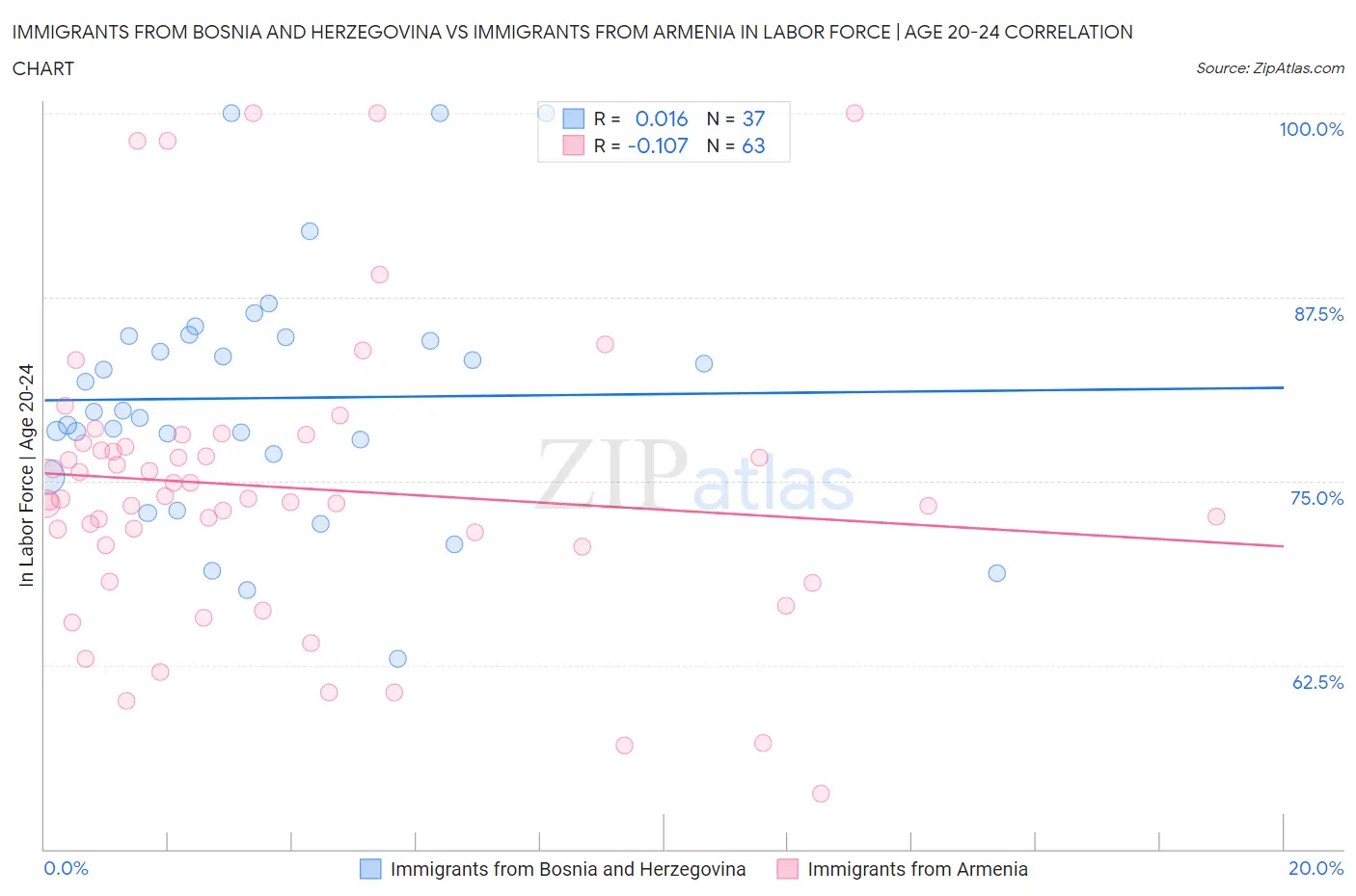 Immigrants from Bosnia and Herzegovina vs Immigrants from Armenia In Labor Force | Age 20-24