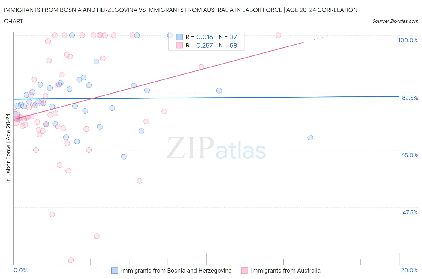 Immigrants from Bosnia and Herzegovina vs Immigrants from Australia In Labor Force | Age 20-24