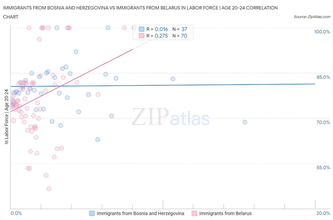 Immigrants from Bosnia and Herzegovina vs Immigrants from Belarus In Labor Force | Age 20-24