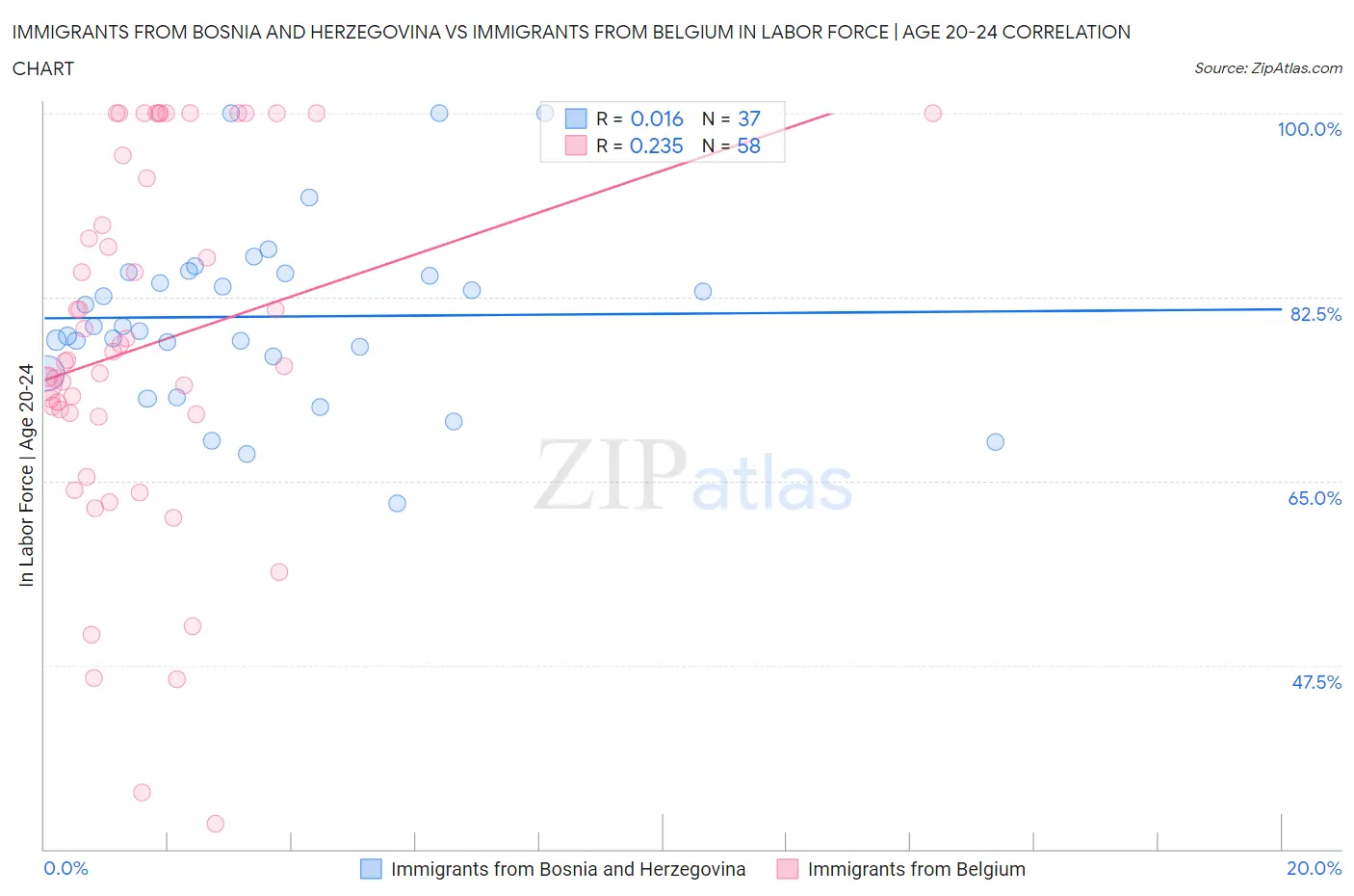 Immigrants from Bosnia and Herzegovina vs Immigrants from Belgium In Labor Force | Age 20-24