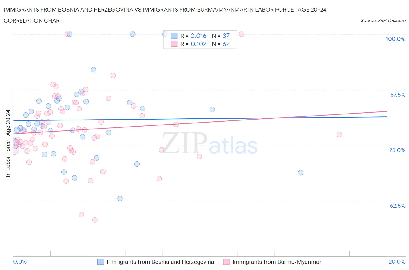 Immigrants from Bosnia and Herzegovina vs Immigrants from Burma/Myanmar In Labor Force | Age 20-24