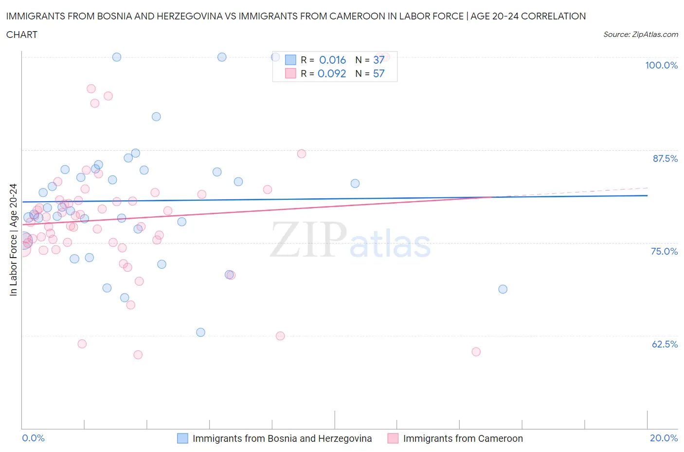 Immigrants from Bosnia and Herzegovina vs Immigrants from Cameroon In Labor Force | Age 20-24