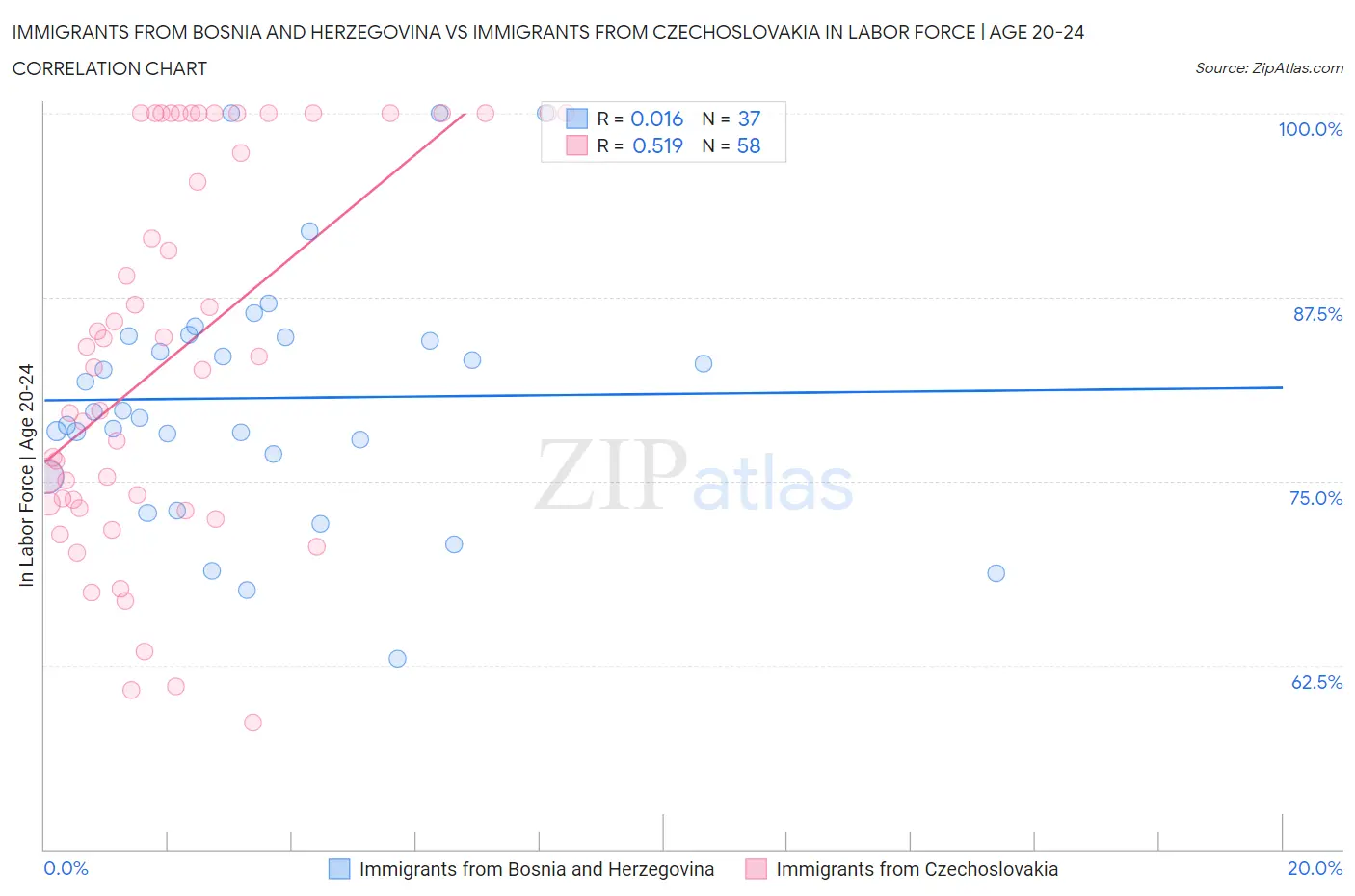 Immigrants from Bosnia and Herzegovina vs Immigrants from Czechoslovakia In Labor Force | Age 20-24