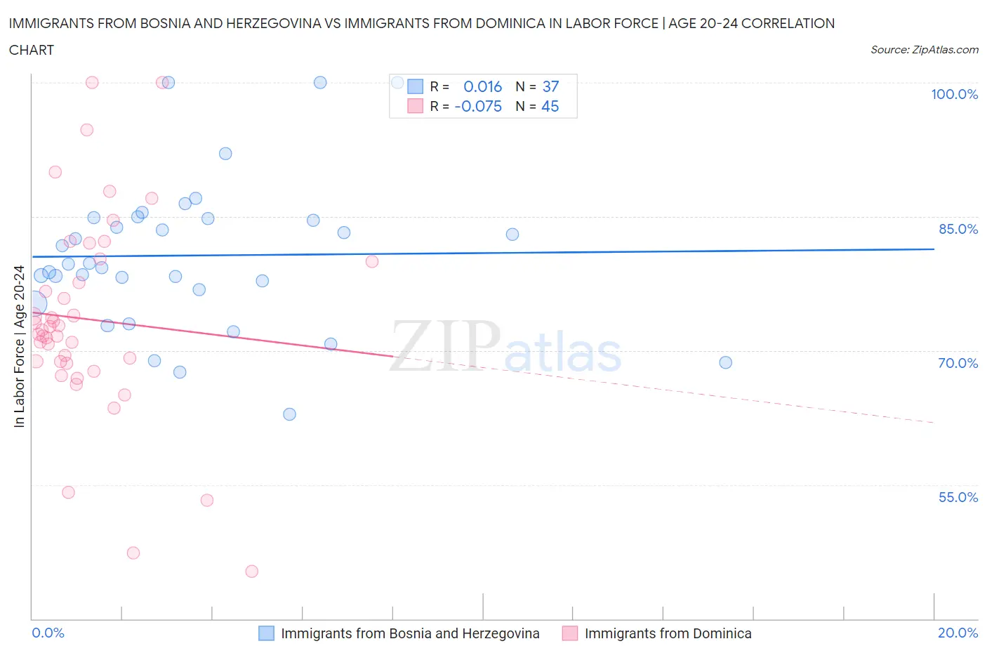 Immigrants from Bosnia and Herzegovina vs Immigrants from Dominica In Labor Force | Age 20-24