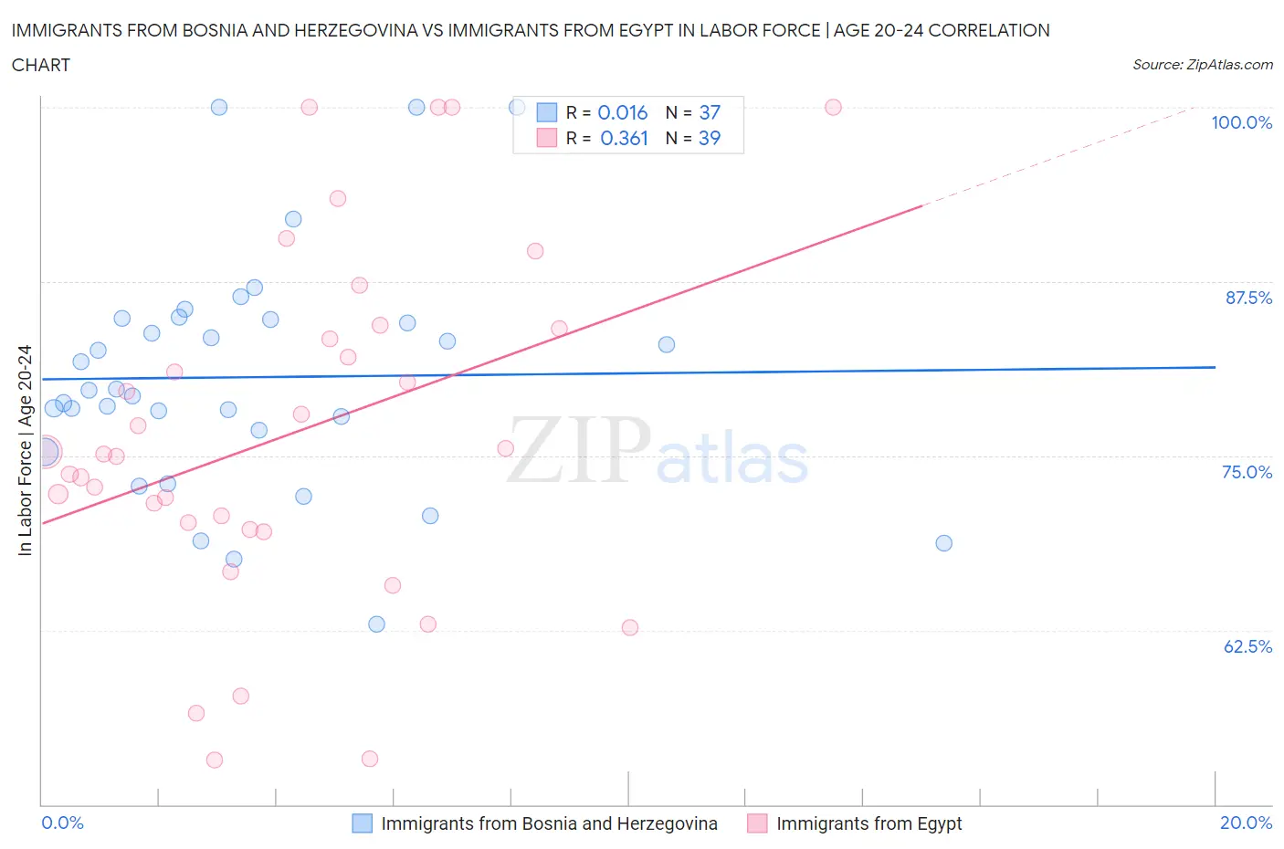 Immigrants from Bosnia and Herzegovina vs Immigrants from Egypt In Labor Force | Age 20-24