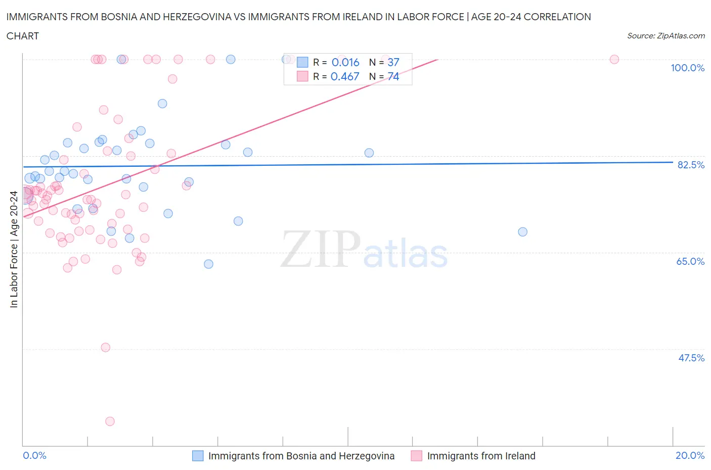 Immigrants from Bosnia and Herzegovina vs Immigrants from Ireland In Labor Force | Age 20-24