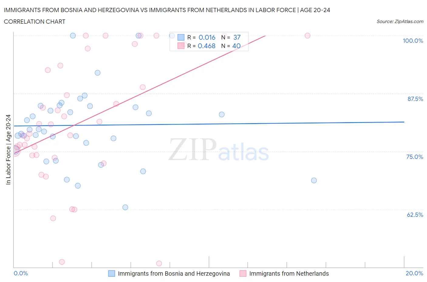 Immigrants from Bosnia and Herzegovina vs Immigrants from Netherlands In Labor Force | Age 20-24