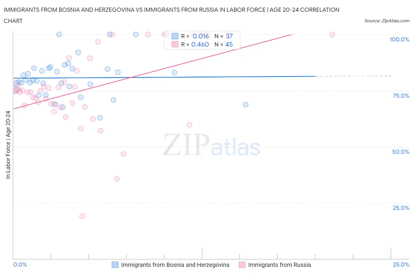 Immigrants from Bosnia and Herzegovina vs Immigrants from Russia In Labor Force | Age 20-24