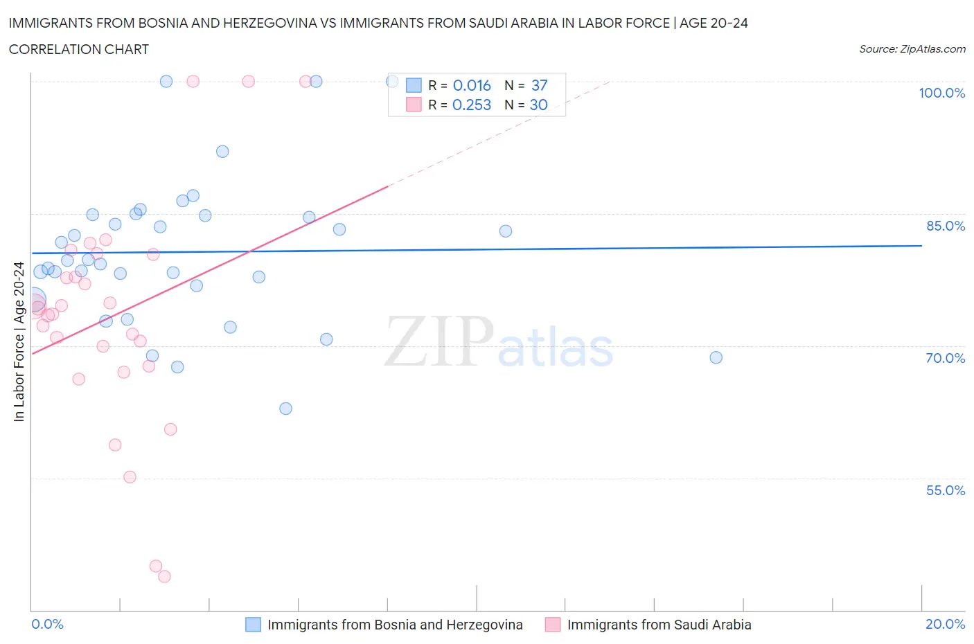 Immigrants from Bosnia and Herzegovina vs Immigrants from Saudi Arabia In Labor Force | Age 20-24