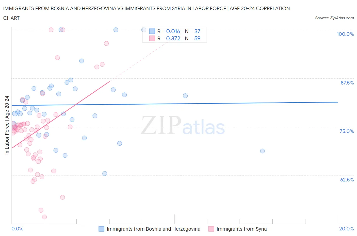 Immigrants from Bosnia and Herzegovina vs Immigrants from Syria In Labor Force | Age 20-24