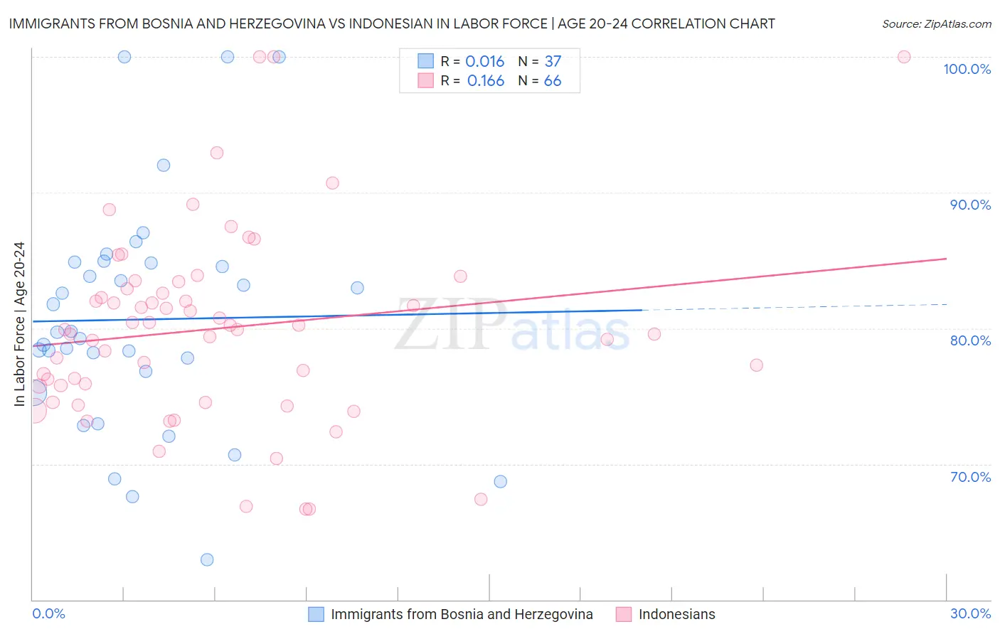 Immigrants from Bosnia and Herzegovina vs Indonesian In Labor Force | Age 20-24