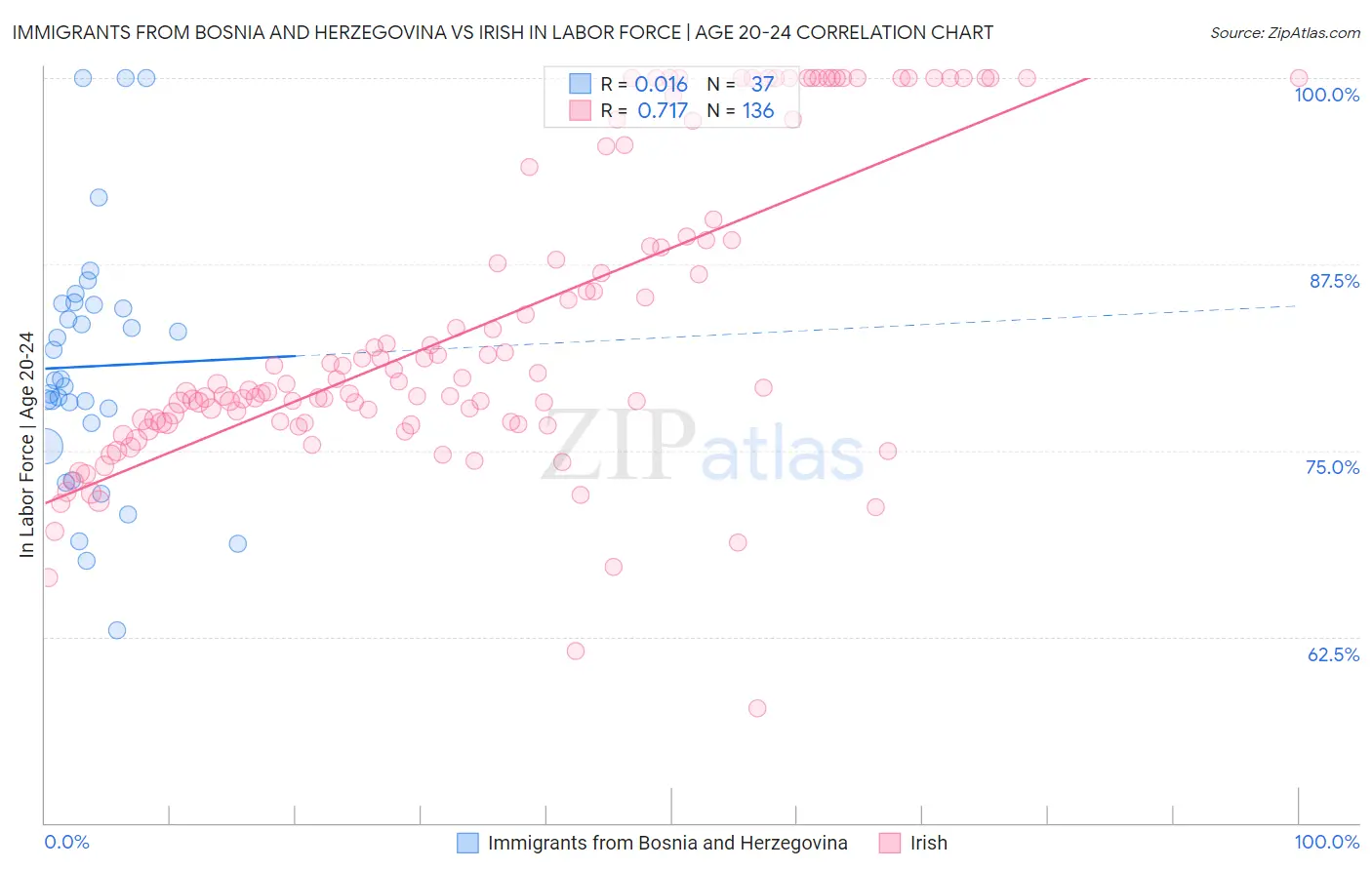 Immigrants from Bosnia and Herzegovina vs Irish In Labor Force | Age 20-24