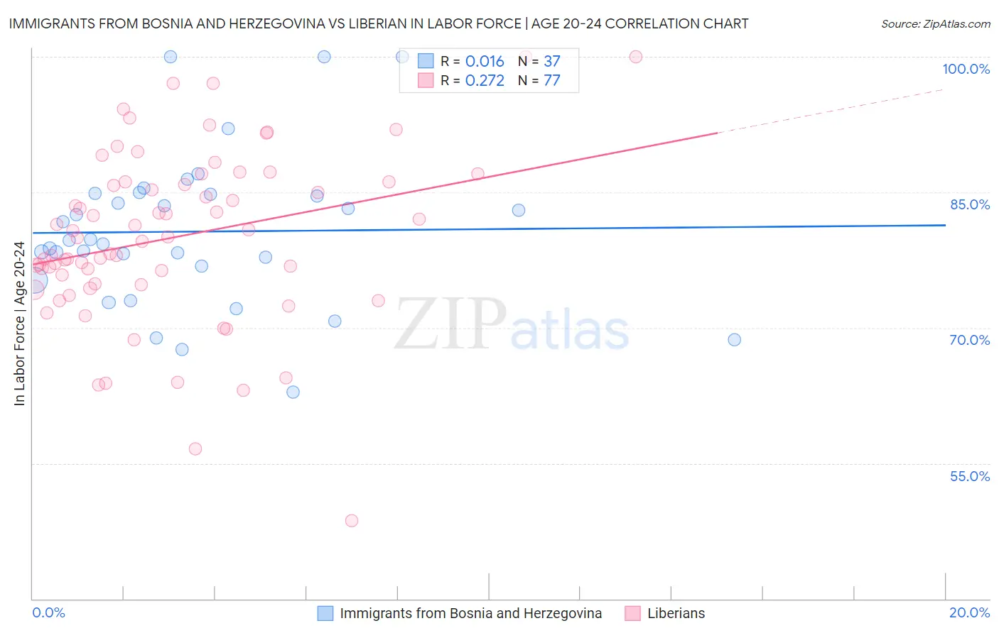 Immigrants from Bosnia and Herzegovina vs Liberian In Labor Force | Age 20-24