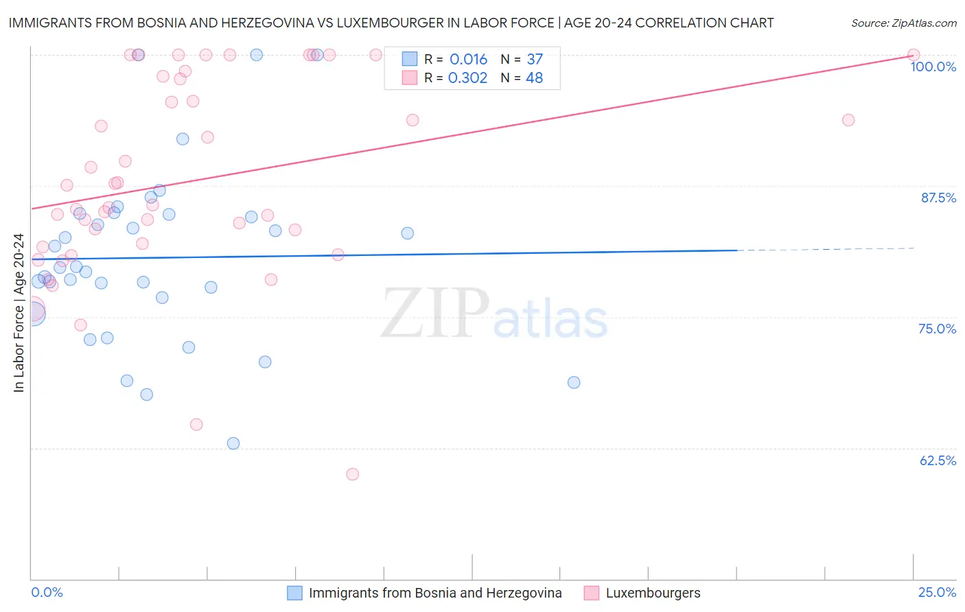 Immigrants from Bosnia and Herzegovina vs Luxembourger In Labor Force | Age 20-24