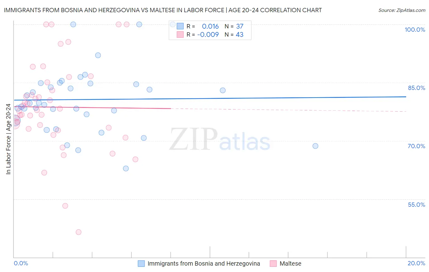 Immigrants from Bosnia and Herzegovina vs Maltese In Labor Force | Age 20-24