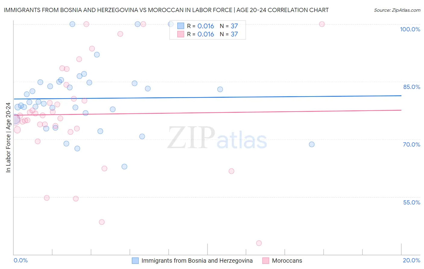 Immigrants from Bosnia and Herzegovina vs Moroccan In Labor Force | Age 20-24