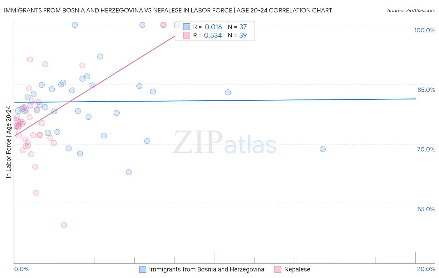 Immigrants from Bosnia and Herzegovina vs Nepalese In Labor Force | Age 20-24