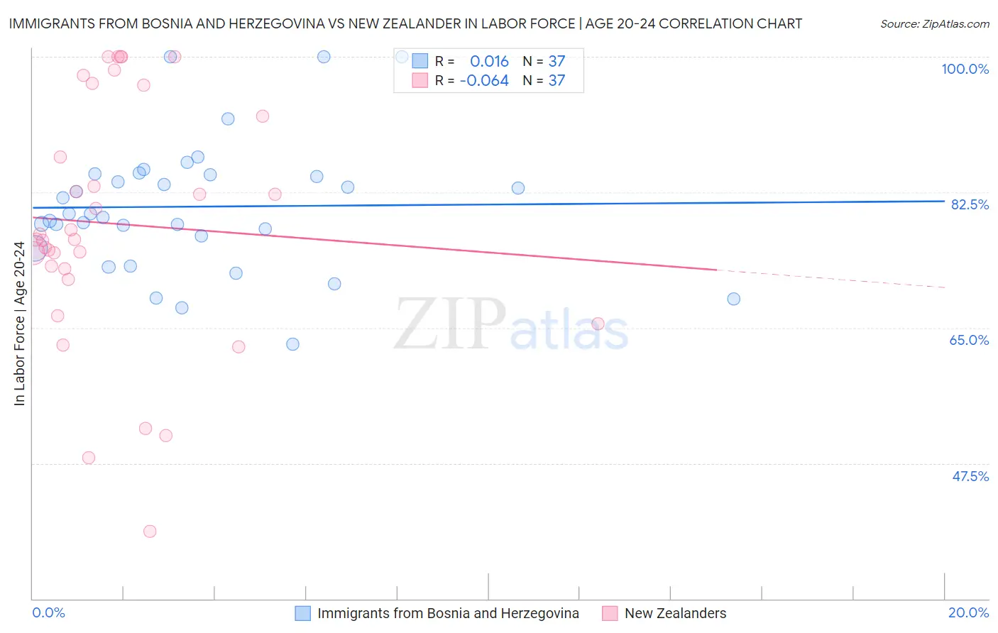 Immigrants from Bosnia and Herzegovina vs New Zealander In Labor Force | Age 20-24