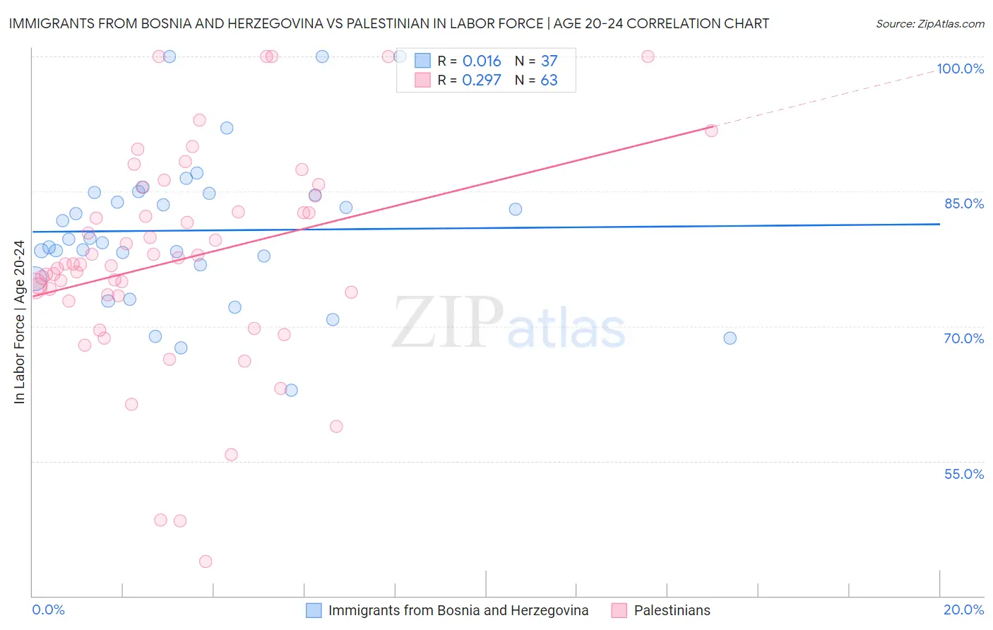 Immigrants from Bosnia and Herzegovina vs Palestinian In Labor Force | Age 20-24