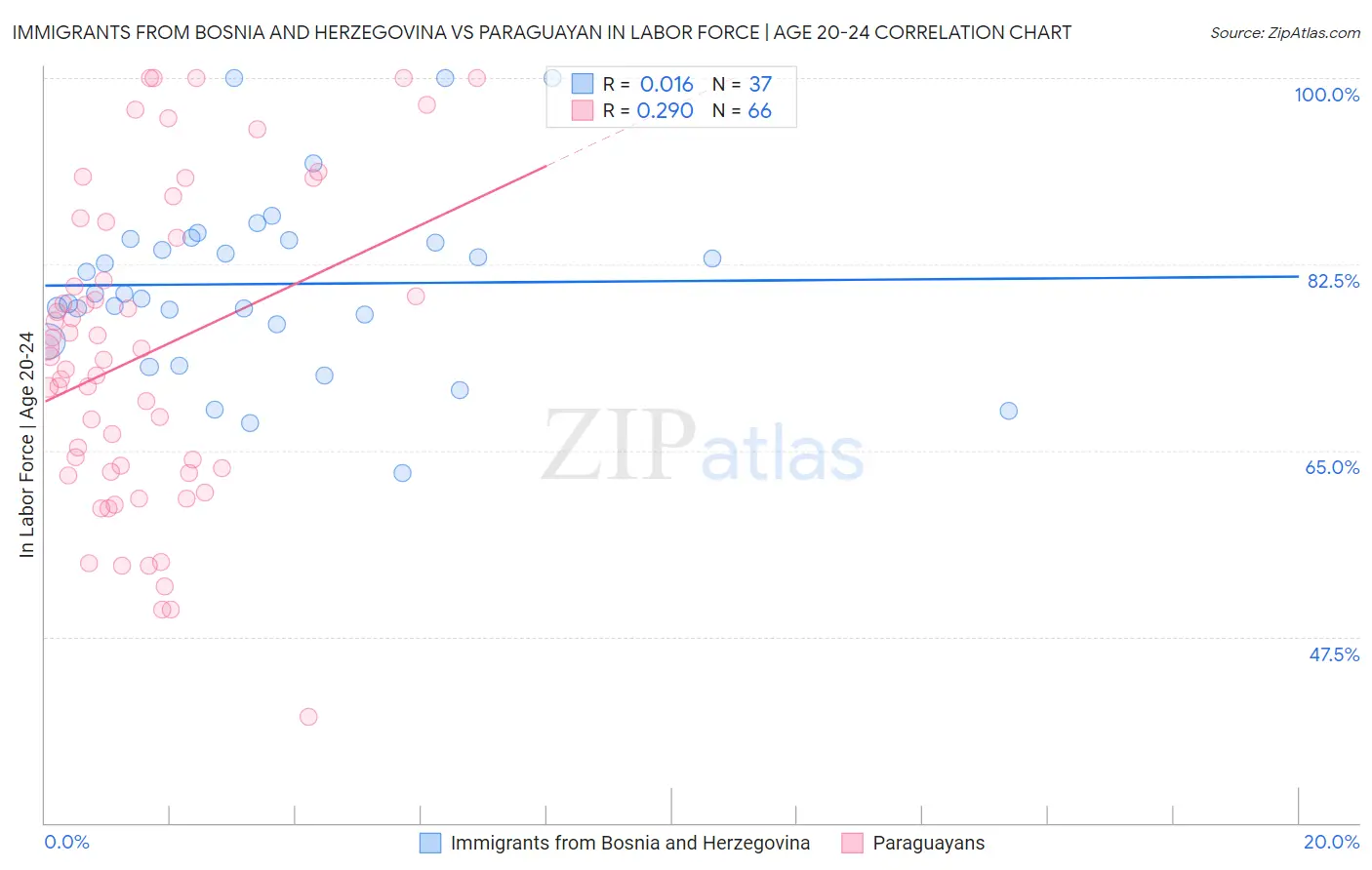 Immigrants from Bosnia and Herzegovina vs Paraguayan In Labor Force | Age 20-24