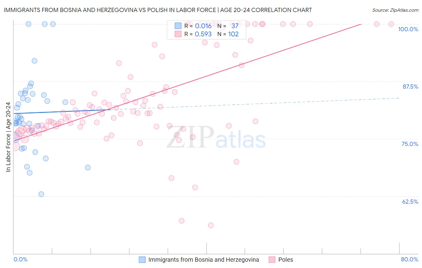 Immigrants from Bosnia and Herzegovina vs Polish In Labor Force | Age 20-24