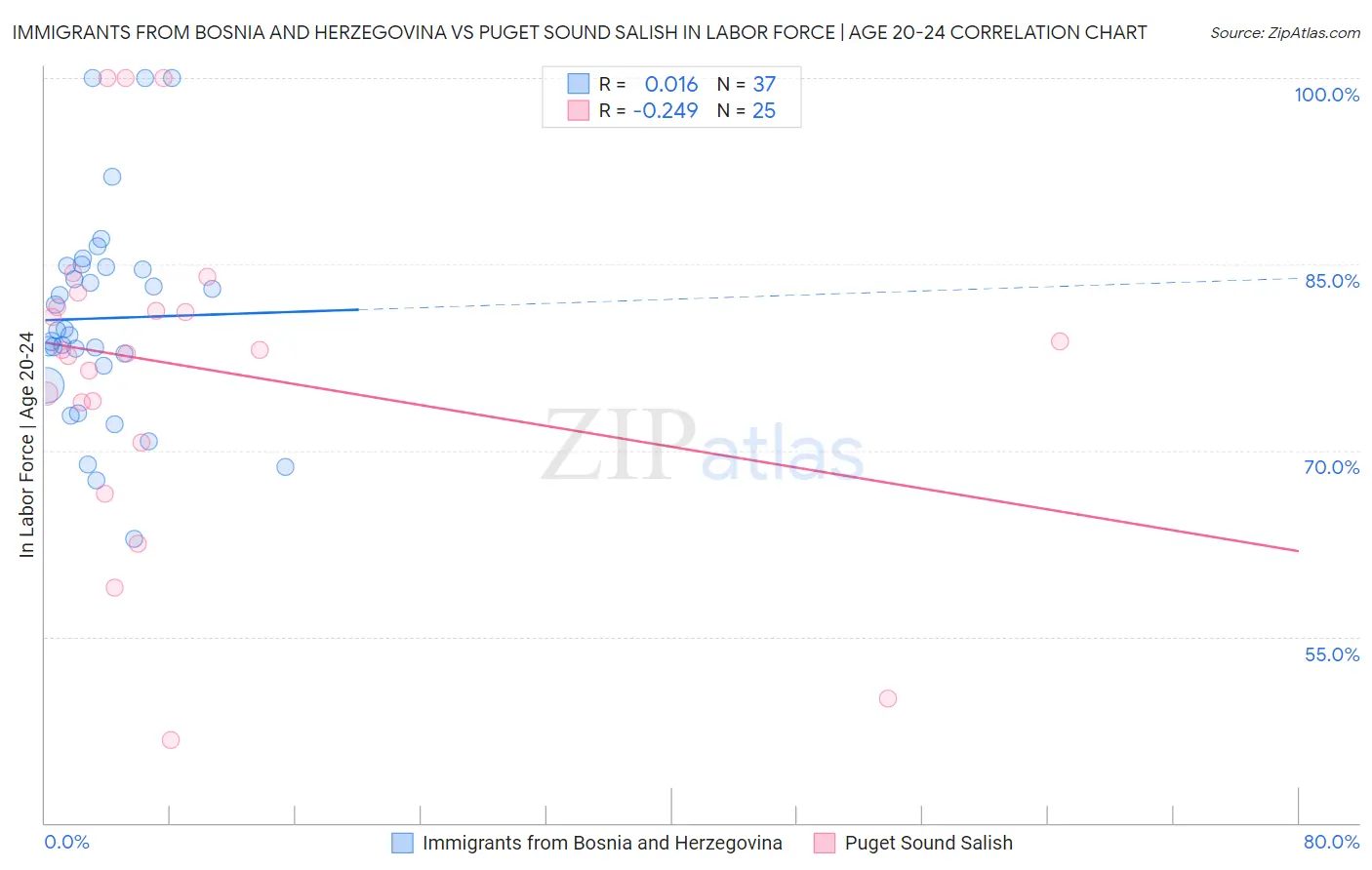 Immigrants from Bosnia and Herzegovina vs Puget Sound Salish In Labor Force | Age 20-24