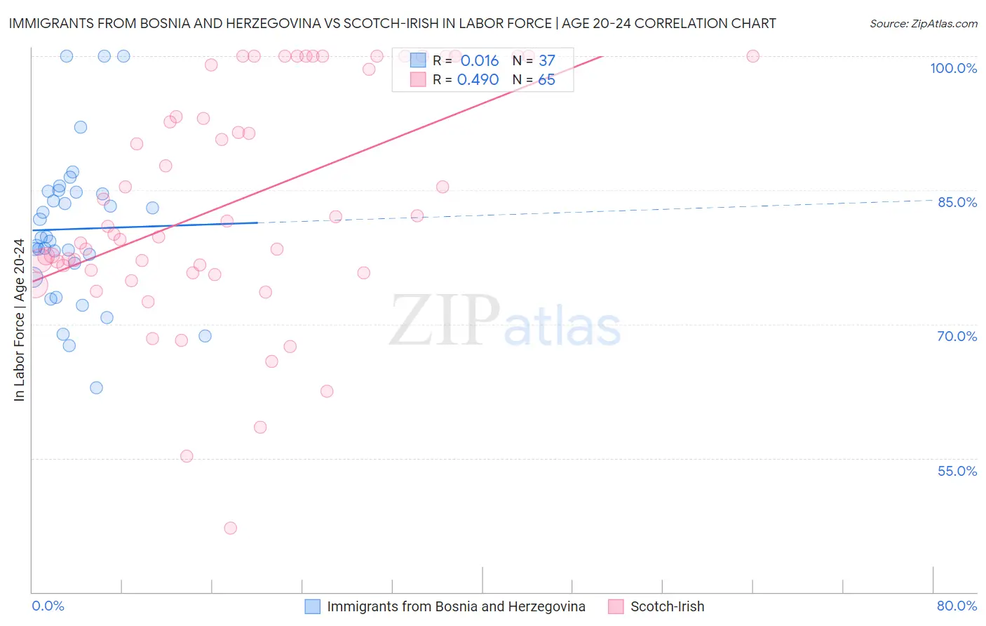 Immigrants from Bosnia and Herzegovina vs Scotch-Irish In Labor Force | Age 20-24