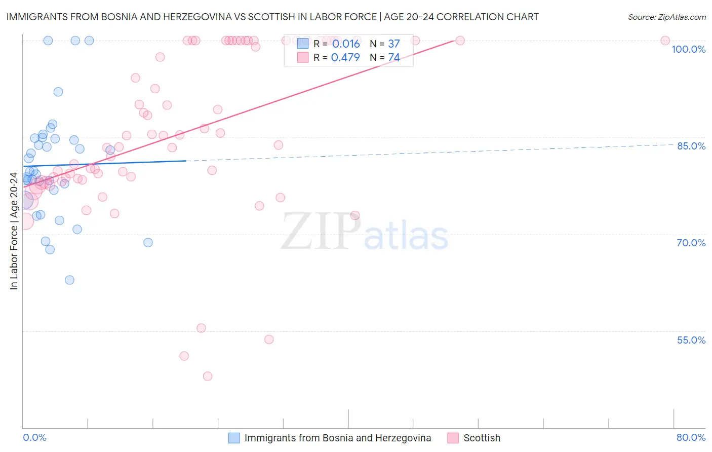 Immigrants from Bosnia and Herzegovina vs Scottish In Labor Force | Age 20-24