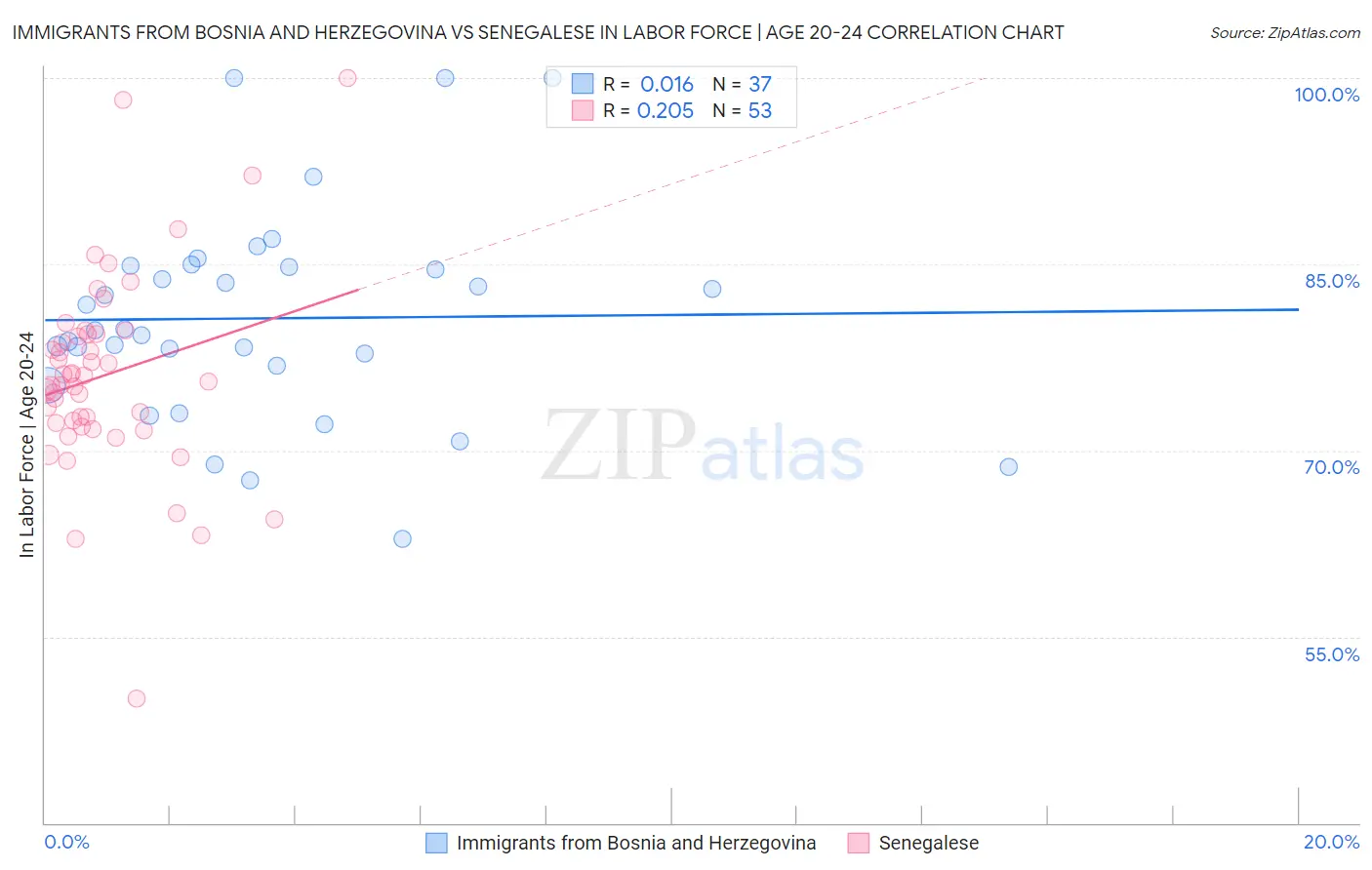 Immigrants from Bosnia and Herzegovina vs Senegalese In Labor Force | Age 20-24